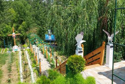 Vand casa cu livada in satul Ionesti Arges - 8