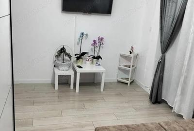 Apartament cu 1 camera POD pe toata suprafata Calea Urseni - 8