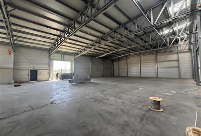 Inchiriere depozit/hala/spatiu industrial Mogosoaia - Buftea - 7