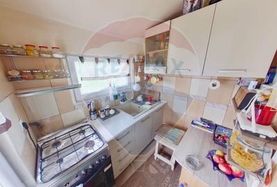 Casa / Vila cu 4 camere de vanzare in zona Ultracentral - 7