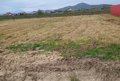 Teren de 1000 mp, în Hărman - 2