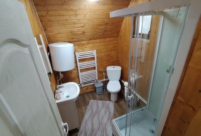 Casă cu 2 camere în Brădățel - 3