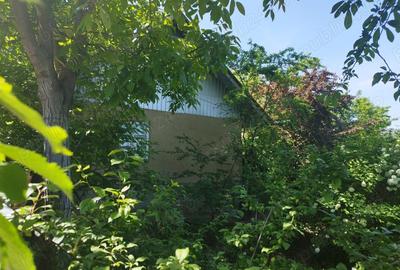 Casă cu 3 camere cu Teren 410 Mp în Cleja - 6