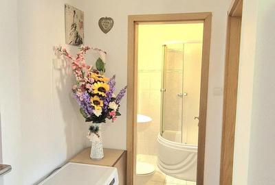 Apartament cu 2 camere semidecomandat în Kogălniceanu - 3