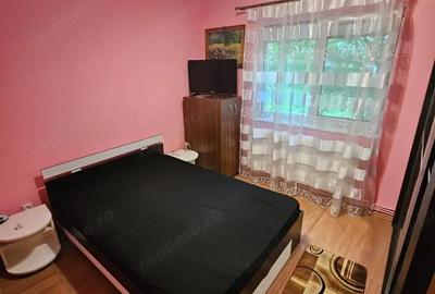 Apartament cu 2 camere semidecomandat în Lugoj - 3