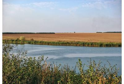 Teren Construcții de 650 mp, în Frumușani - 17