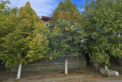 Casă individuală cu 3 camere cu Teren 7290 Mp în Socodor - 4