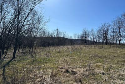 Teren de 9220 mp, în Periferie - 5