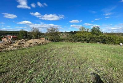 Teren intravilan - constructii, suprafata totala 5.995 mp, Șumugiu - 4
