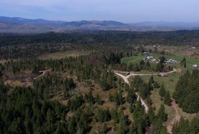 Teren intravilan 3,584mp Calatele Padure - 7