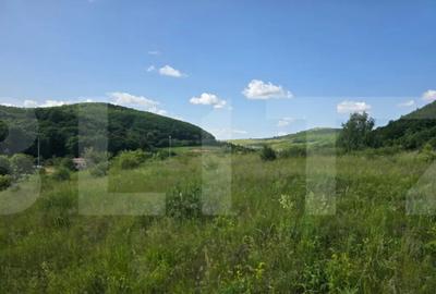 Teren de 5000 mp, în Ciurila - 4