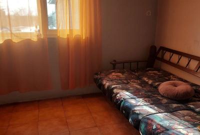 Casă cu 3 camere cu Teren 5000 Mp în Central - 8