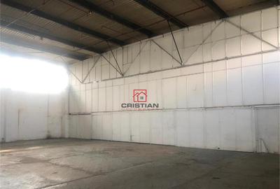 Depozit/hala/spatiu industrian/showroom Otopeni - Odai - Ce Depozit/hala/spatiu industrian/showroom Otopeni - Odai - Ce - 2