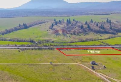 Teren de 7786 mp, în Vlădeni