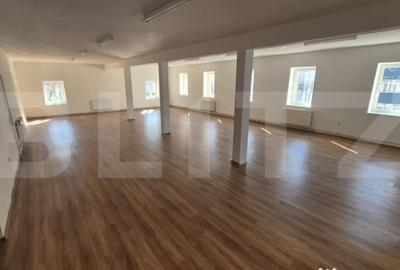 Spațiu comercial, de 773 mp, în Lucian Blaga - 1