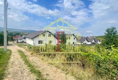 Teren Construcții intravilan de 7500 mp, în Tomești - 1