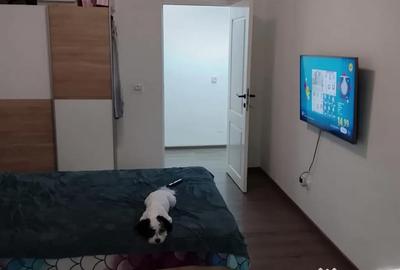 Apartament cu 3 camere decomandat în Pajura - 12