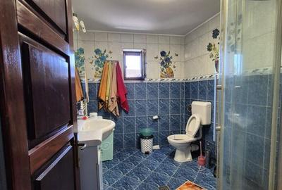 Casa + magazin Orasul Fundulea, stradal DN3 - 16