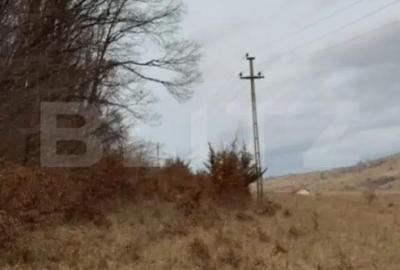 Teren de 3300 mp, în Sălicea - 2