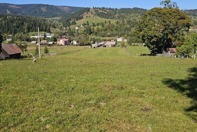 Neagra Sarului, Suceava - 5