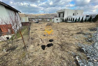 Teren, Intravilan, 487mp  Chinteni, Certificat de Urbanism - 4