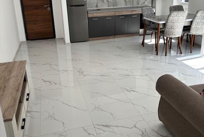 Apartament cu 2 camere decomandat, mobilat în Braytim