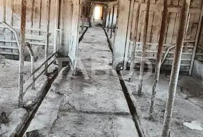 Casă cu 3 camere cu Teren 5039 Mp în Pianu - 8
