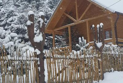 Casă în Central - 5