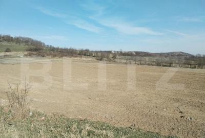 Teren intravilan cu suprafa?a de 9ha, Aninoasa - 6