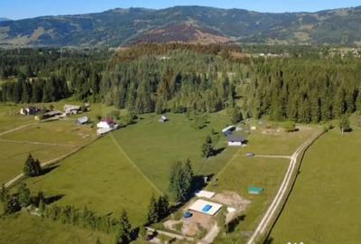 Teren de 9685 mp, în Neagra - 3