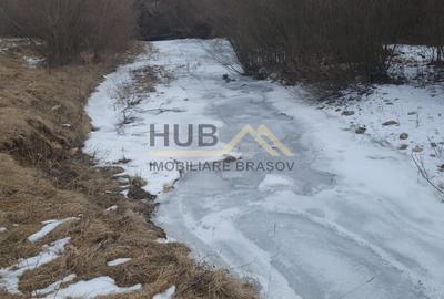 Teren agricol extravilan de 10035 mp, în Cheile Râșnoavei - 4