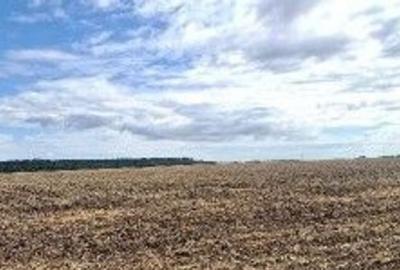 Teren de 2500 mp, în Brănești