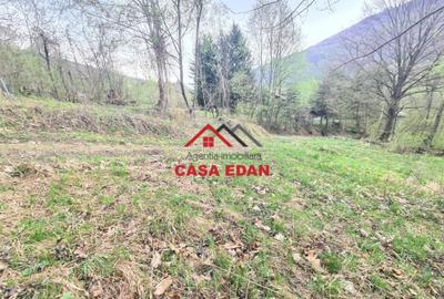 Teren Construcții intravilan de 1000 mp, în Valea Doftanei - 4