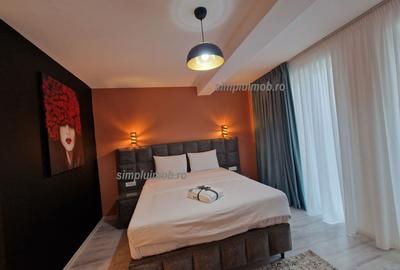 Apartament cu 2 camere decomandat, mobilat în Roșu - 3