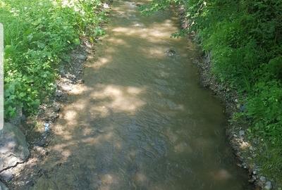 Casă cu 3 camere în Central - 11