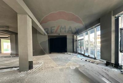 Spatiu comercial de 250mp de inchiriat in zona Alba Iulia - 10