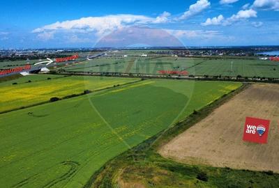 Teren intravilan de vanzare - 27.400 mp, Cernica, ideal investitie