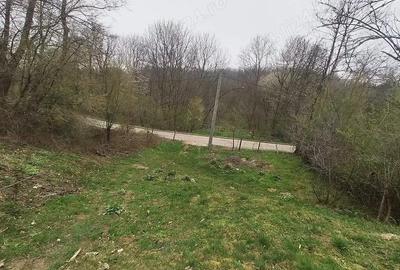 Teren 3100 mp si padure in Curtea de Arges zona Cuza Voda - 5