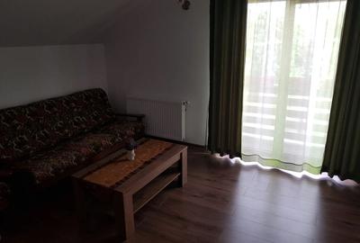 Apartament 2 camera in vila - 8