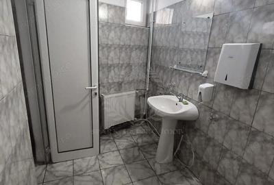 Spațiu comercial, de 245 mp, în Traian - 7