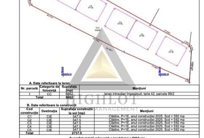 331MP Utili - INCHIRIERE HALA MODERNĂ | CHITILA - RUDENI  | ACCES A1-A0-CB - 17