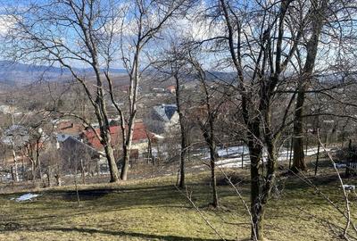 Teren de 2500 mp, în Talea - 3