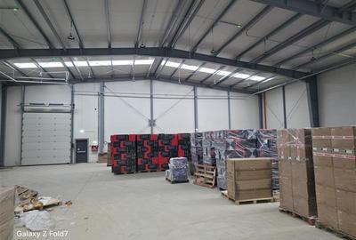 Spațiu industrial, de 1,300 mp, în Theodor Pallady - 12