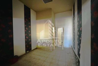 Spațiu comercial, de 65 mp, în Micălaca - 3