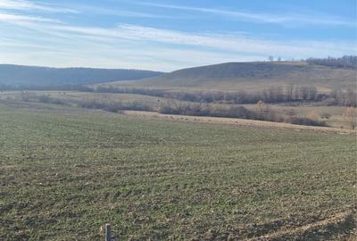 Spațiu comercial, în Mierlău - 4