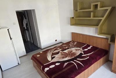 Garsonieră semidecomandată în Lăpuș Argeș - 5