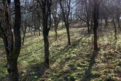 Spațiu comercial, în Coruia