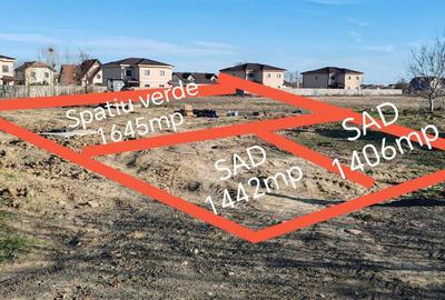 Teren Construcții intravilan de 5493 mp, în Moșnița Nouă - 1