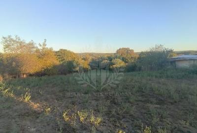 TEREN INTRAVILAN  PLOPU//3000 MP - 3