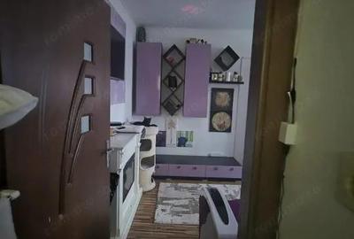 Apartament cu 2 camere semidecomandat în Valea Rosie - 4